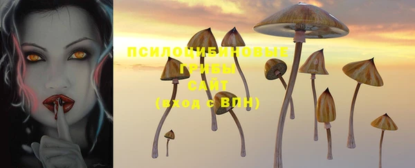 PSILOCYBIN Армянск