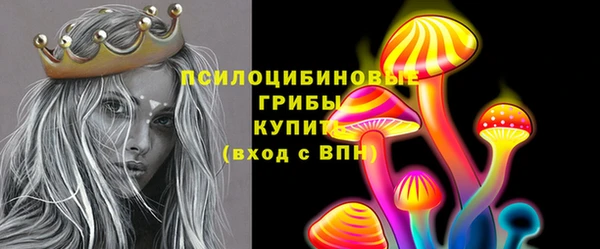 PSILOCYBIN Армянск