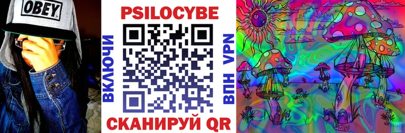 Псилоцибиновые грибы мухоморы  hydra ТОР  Приозерск 